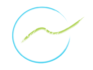 logo adapta